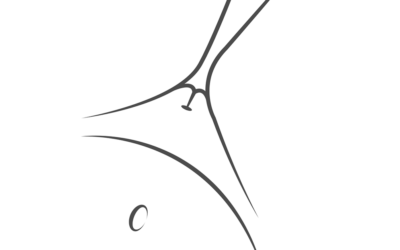 Il Vaginismo da una prospettiva fisica e psicologica